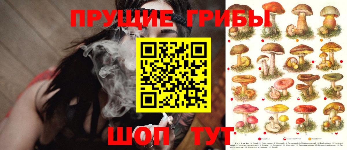 Галлюциногенные грибы Cubensis Елизово