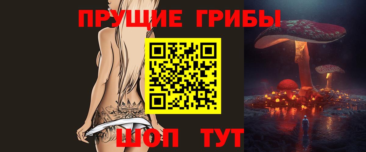 Псилоцибиновые грибы Psilocybe  закладка  Елизово  Вход с VPN 